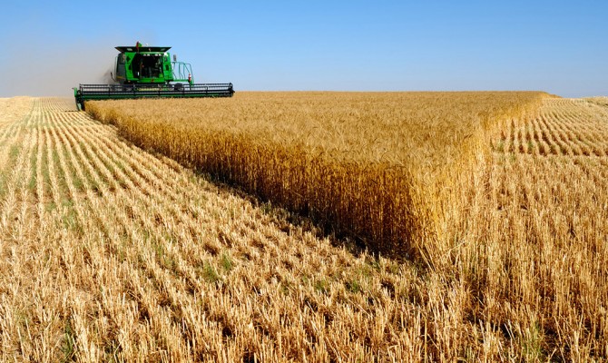 В 2015 году импорт продукции АПК в Украине сократился почти на 44%