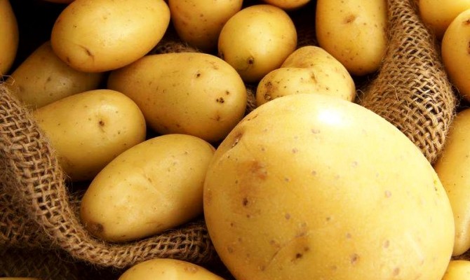 Украина входит в пятерку крупнейших стран-производителей картофеля, гречихи и меда