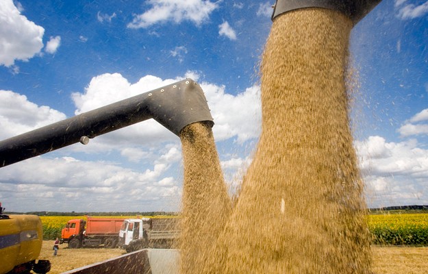 Вьетнам приостановил импорт украинской пшеницы