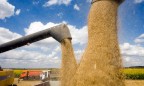 Вьетнам приостановил импорт украинской пшеницы