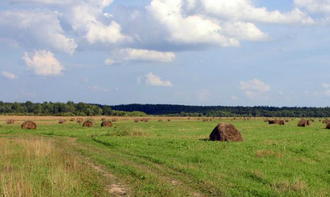 СМИ: В БПП придумали схему для перераспределения земель в обход моратория