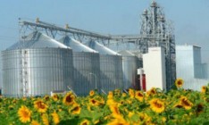 Агрохолдинг Креатив был финансовой пирамидой