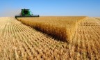 Минсельхоз США повысил прогноз экспорта пшеницы из Украины