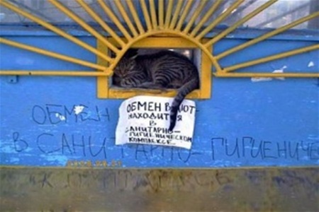 В Киеве выявлены 200 нелегальных валютных обменников