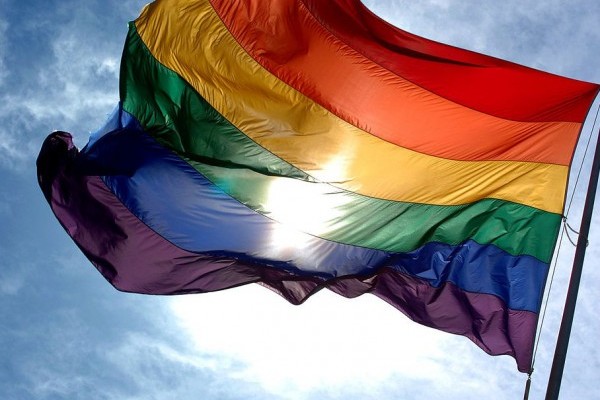 Словенцы на референдуме проголосовали против однополых браков