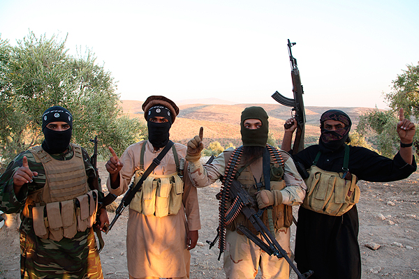 Территория боевиков ИГ с начала года сократилась на 14%