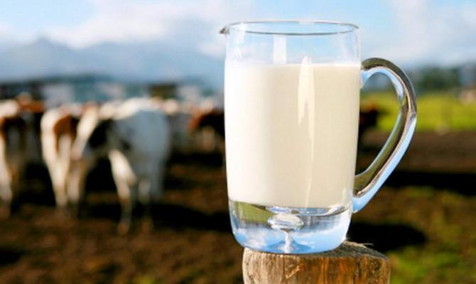 Производители молока и КРС могут получить наиболее льготный переходный период по НДС
