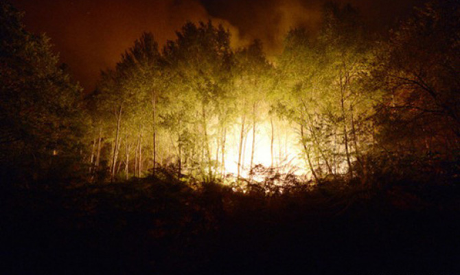 Во Франции горят 650 га горных лесов. Подозревают поджог