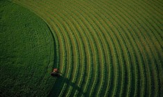 Украина взяла в кредит 400 миллионов на поддержание АПК