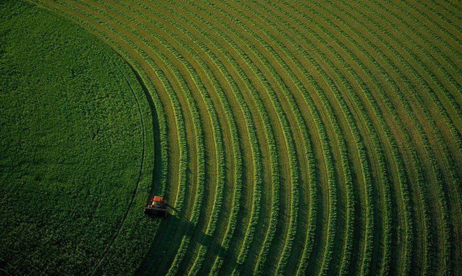 Украина взяла в кредит 400 миллионов на поддержание АПК