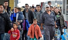Швеция вводит режим погранконтроля с Данией из-за наплыва беженцев