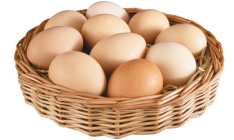 Израиль уничтожит большую партию яиц из Украины