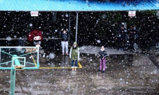 На Тайване из-за аномальных холодов погибли 50 человек