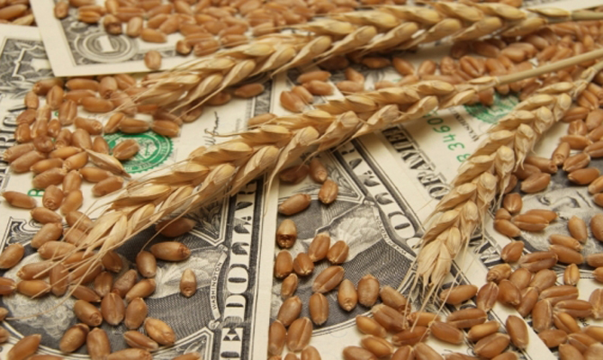 Аграрный фонд заключил контракты на приобретение 48 тыс. тонн зерна