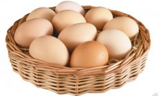 Киевская область лидирует по объему производства яиц в Украине