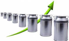 Экспорт молочки сократился на 40% в 2015 году