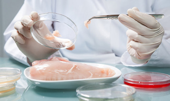 В Украину прибыла делегация из ОАЭ для проверки мяса