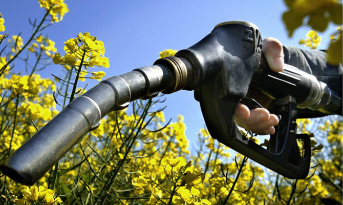 ЕС перейдет на биотопливо до 2050 года