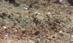 В Индии метеорит убил человека