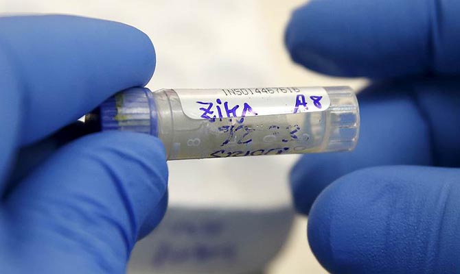 В Украине 53 вида насекомых могут быть переносчикам вируса Зика, — ВОЗ