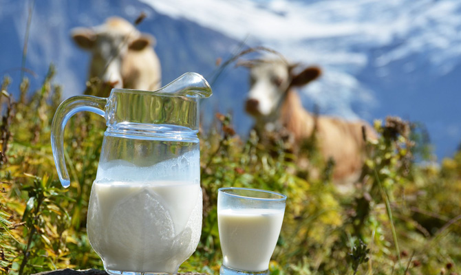 Украинцы сократили сдачу молока для переработки на 22%