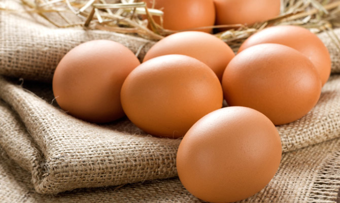 Производство яиц сократилось на 20% в январе