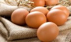 Производство яиц сократилось на 20% в январе