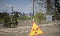 Минэкологии выступает за создание заповедника в Чернобыльской зоне