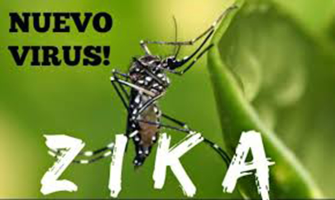 В Чехии зафиксированы первые случаи заражения вирусом Зика