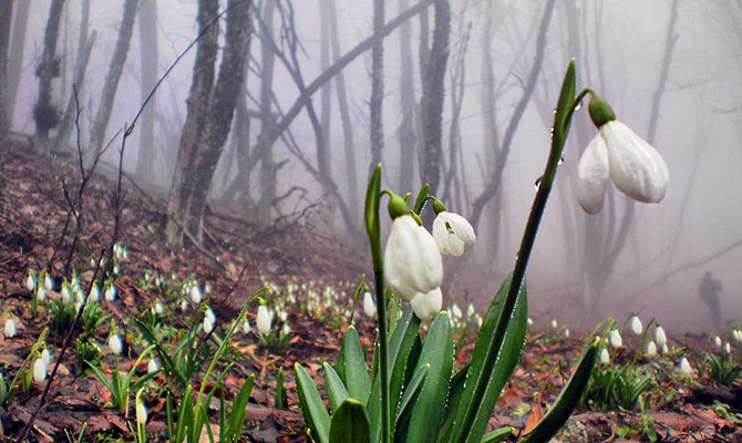 В Украине на выходные будет по- весеннему тепло