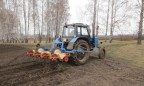 Украина засеяла яровыми зерновыми 6% прогнозируемых площадей
