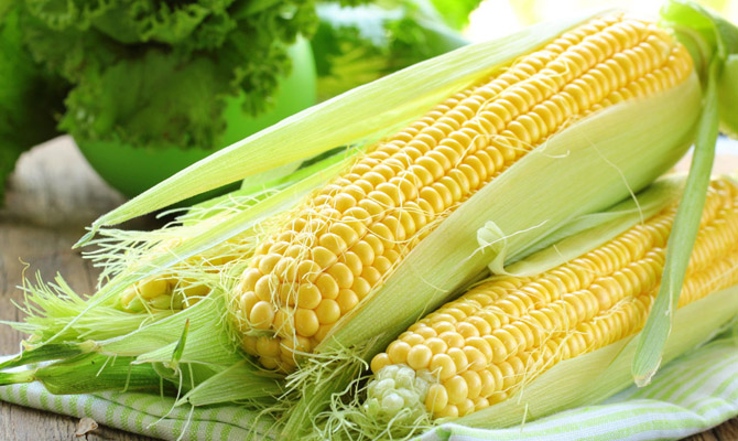 Украина потеснила США по объему экспорта кукурузы