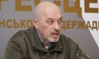 Тука: На разминирование Луганской области уйдет около 10 лет