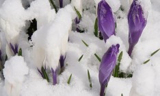 В Украине на выходных прогнозируют снегопады и похолодание до -7 градусов