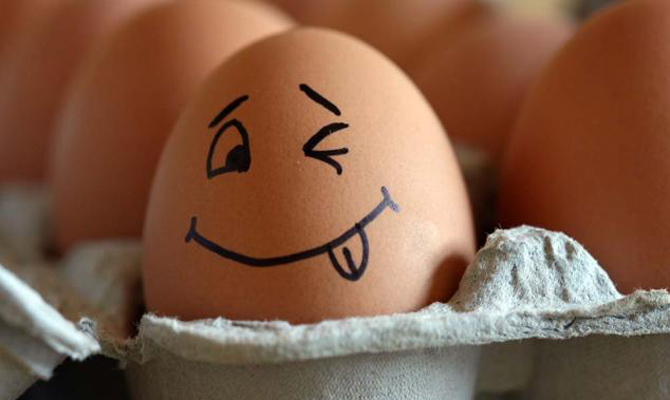 Израиль возобновит импорт украинских яиц