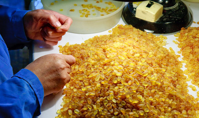 Полиция перекрыла канал незаконной поставки янтаря в Китай