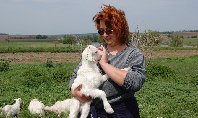 Украинцам разрешили создавать семейные фермерские хозяйства