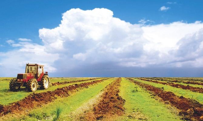 Крупные агрохолдинги заморозили уплату НДС, — эксперт