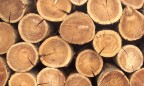 1 июля заработает электронная система учета древесины