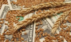 МинАПК: Закупочные цены на зерновые выросли на 17%