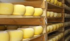 Экспорт украинского сыра сократился на 37%