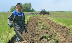В МинАПК подсчитали стоимость посевной-2016