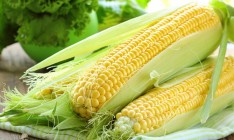 Китай планирует сократить закупки украинской кукурузы