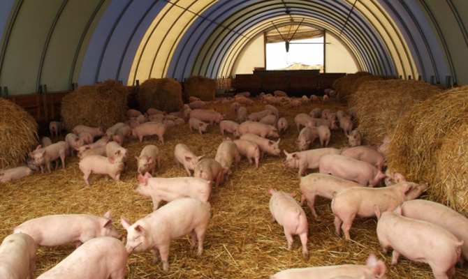 Компания «Агропродсервис» выходит на рынок Грузии