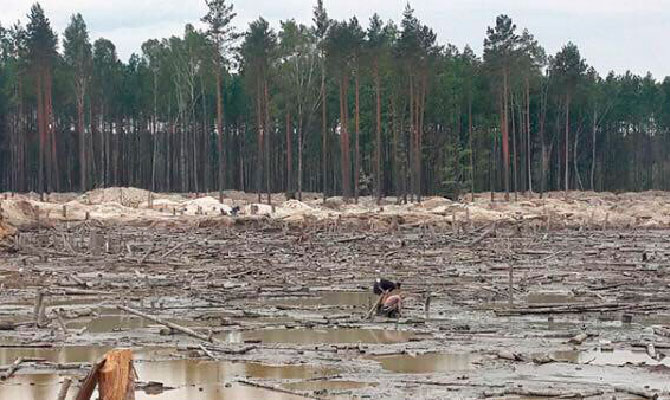 СБУ поймала на контрабанде янтаря активиста из Ирпеня - фото