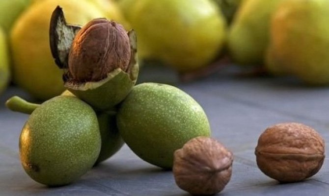 Гройсман поручил разобраться с «ореховой мафией»