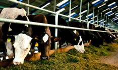 Агрохолдинг «Астарта» приобрел 24% акций агрокомпании «Эко Энерджи Украина»