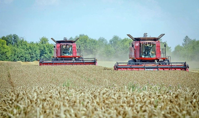 «Астарта» увеличила выручку на 24%