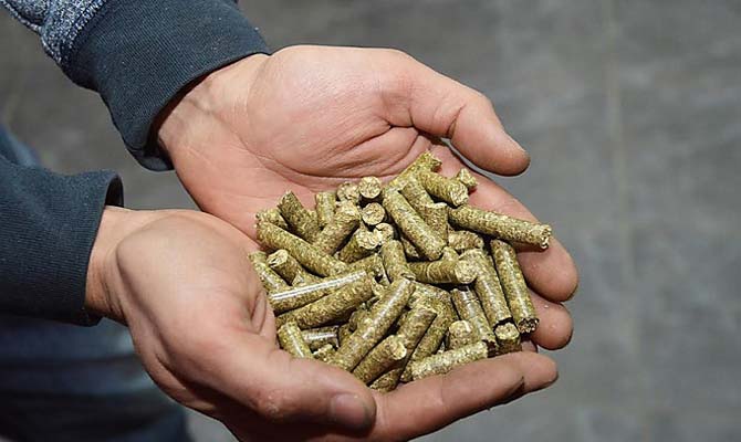 KSG Agro начал строительство пеллетного завода