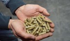 KSG Agro начал строительство пеллетного завода